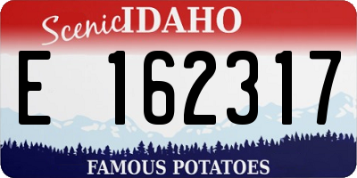 ID license plate E162317
