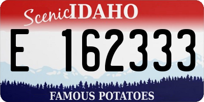 ID license plate E162333