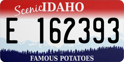 ID license plate E162393
