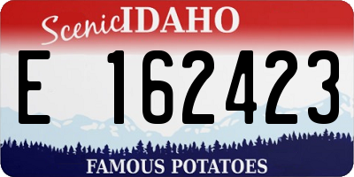ID license plate E162423