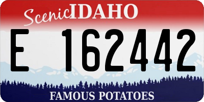 ID license plate E162442
