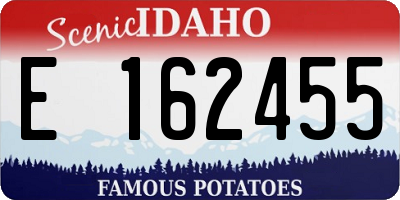 ID license plate E162455