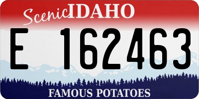 ID license plate E162463