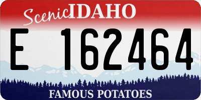 ID license plate E162464