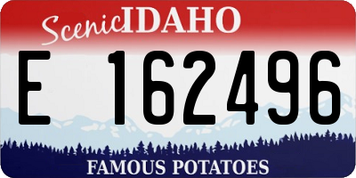 ID license plate E162496