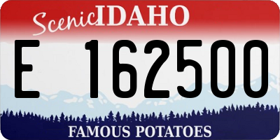 ID license plate E162500