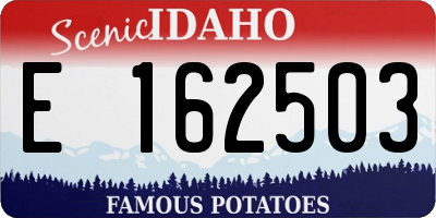 ID license plate E162503
