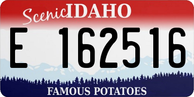 ID license plate E162516