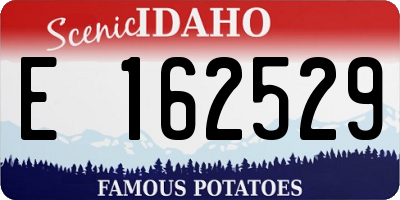 ID license plate E162529