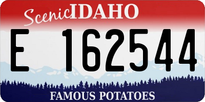 ID license plate E162544