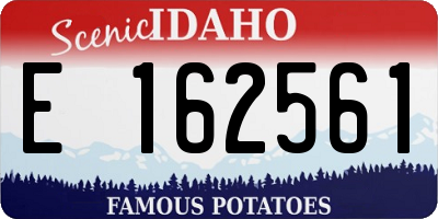 ID license plate E162561