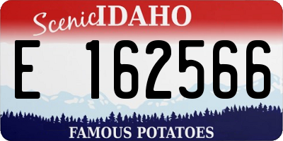 ID license plate E162566