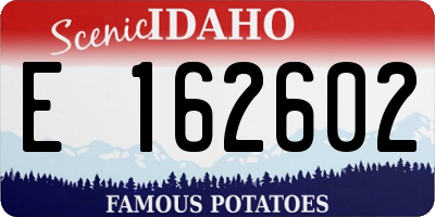 ID license plate E162602