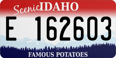 ID license plate E162603