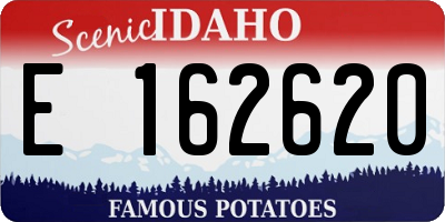 ID license plate E162620