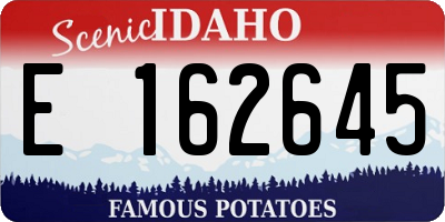 ID license plate E162645