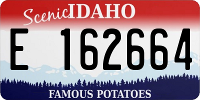 ID license plate E162664