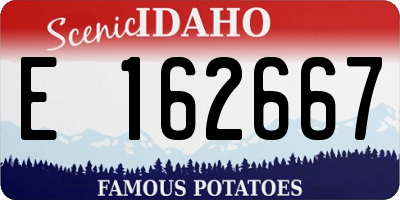 ID license plate E162667