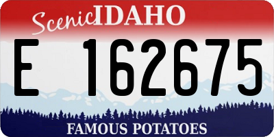 ID license plate E162675