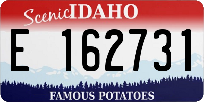 ID license plate E162731