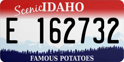 ID license plate E162732