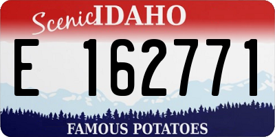 ID license plate E162771