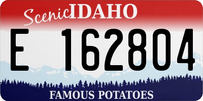 ID license plate E162804