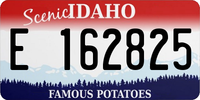 ID license plate E162825