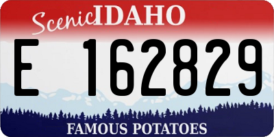 ID license plate E162829