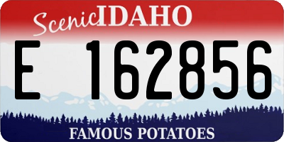 ID license plate E162856