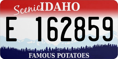 ID license plate E162859