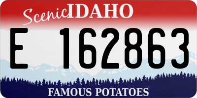 ID license plate E162863