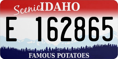 ID license plate E162865