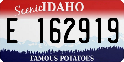 ID license plate E162919