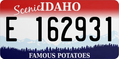 ID license plate E162931