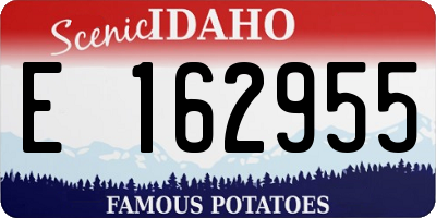 ID license plate E162955