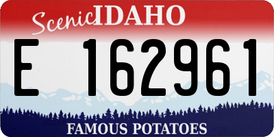 ID license plate E162961