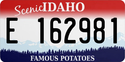 ID license plate E162981