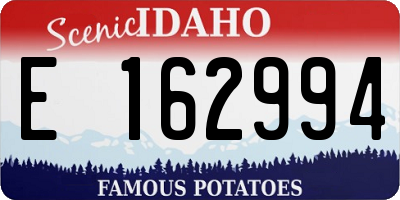 ID license plate E162994