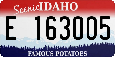 ID license plate E163005