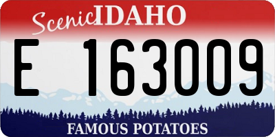 ID license plate E163009