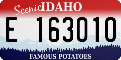 ID license plate E163010