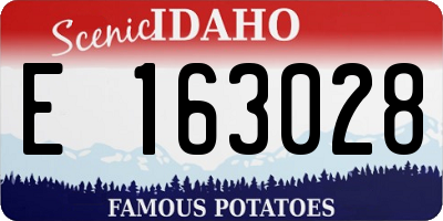 ID license plate E163028