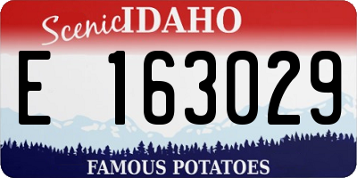 ID license plate E163029