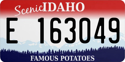 ID license plate E163049