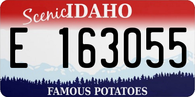 ID license plate E163055