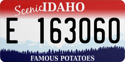 ID license plate E163060