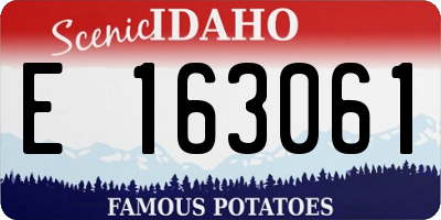 ID license plate E163061