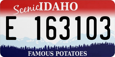 ID license plate E163103