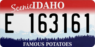 ID license plate E163161